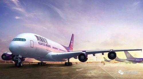 抖音七夕好礼季， 物流保障权益全面升级