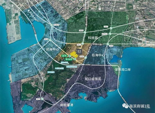 三、拼多多的鱼苗质量如何？