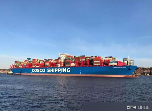 中远海运集团有限公司（COSCO Shipping）