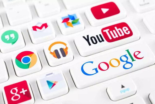 自然流量与广告流量的对比