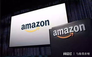 2.侵权风险较高