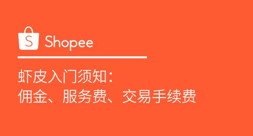 手续费服务费用结构