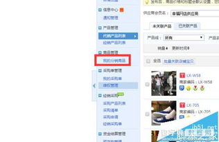 2. 评估供应商实力