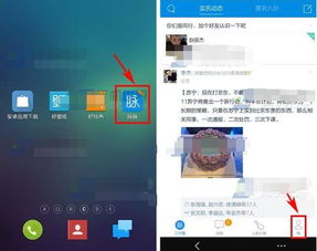 1. 隐私号权限的全面解析