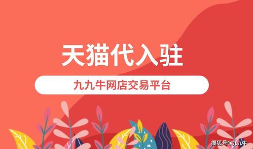 提升天猫专营店入驻复审同过率的策略