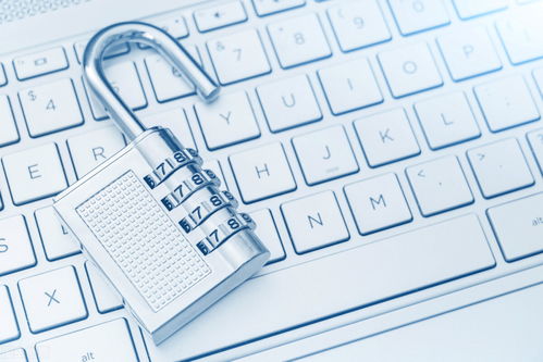 律法法规的遵循与多国律法要求的适应