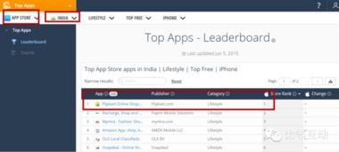 5. 蓝海市场红利