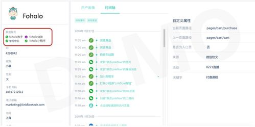 全渠道布局：线上线下的有机结合