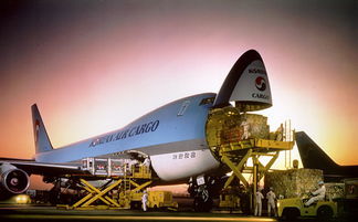 十、 特殊货物清关时间