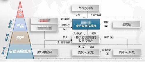 一、 亚马逊卡派概述