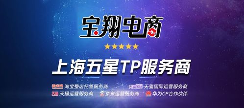 一、 店铺运营商的定义