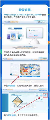 申报流程四步走策略
