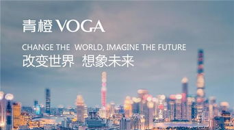 一、 品牌国际化的内涵与意义