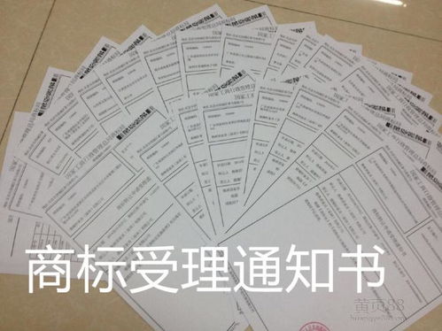 1. 申请递交阶段（2-5天）