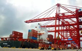 DC：干货柜， 承载着跨境电商的物流梦想