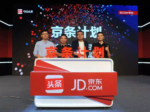 5. 设置视频标题、 描述和标签