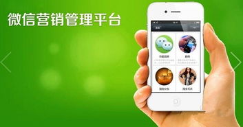 运用推广工具：全面拓展用户群体的有效途径