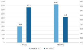 税务合规与税务信息提供
