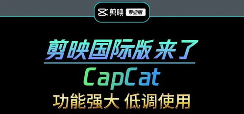 二、 抖音会员的特权优势：尊享专属，体验升级