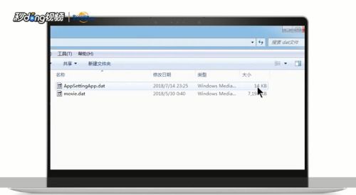 一、 DAT文件概述