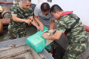 实质审查追诉漏犯14名