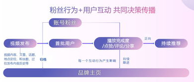 五、 IP衍生变现：打造个人品牌，拓展商业价值
