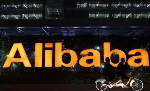 二、 阿里巴巴补单的操作流程