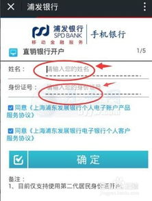 一、 美国虚拟卡概述
