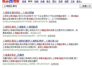 案例三：当地语言搜索习惯