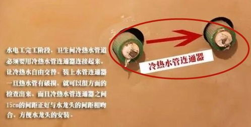 血泪教训：细节决定成败， 商检证明办理不容忽视