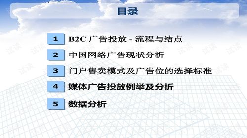 归因窗口：分析广告效果的关键