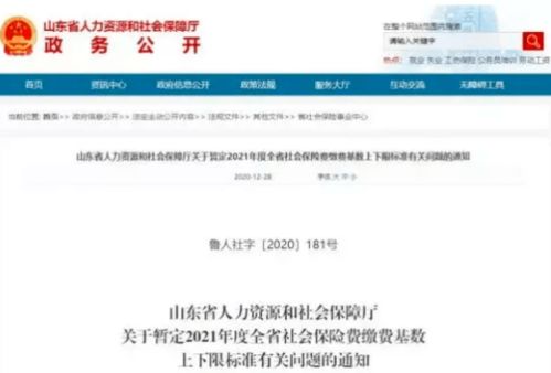 天猫新店补单：必要性与实施策略