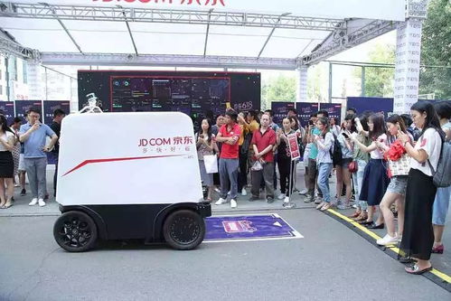 配送人员：专业的京东配送员