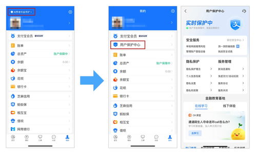 一、支付宝举报成立的含义与流程