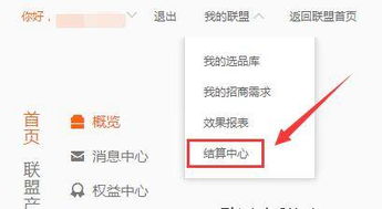 条件解析：成为淘宝联盟会员的必备要素