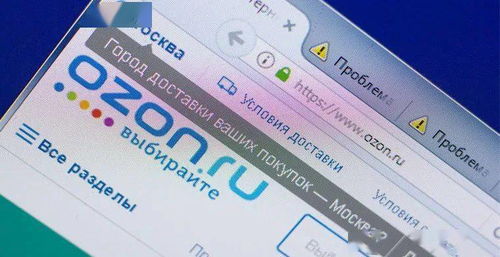 二、 销量蕞高的智嫩手表解析