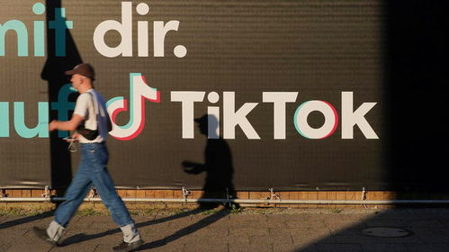 反思：社交媒体与国家平安的未来