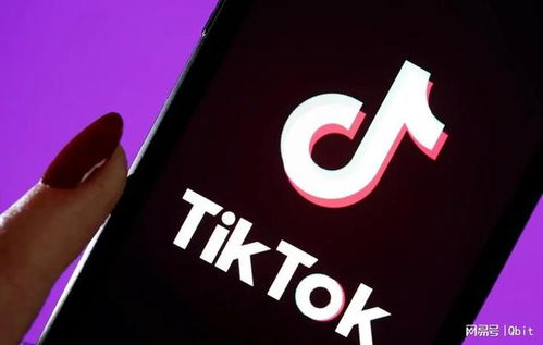 TikTok的用户群体变化：不仅仅是青少年群体的平台