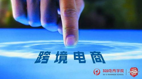 （二）使用的语言