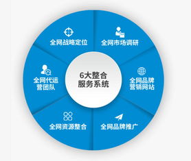 代运营模式助力卖家专注核心业务