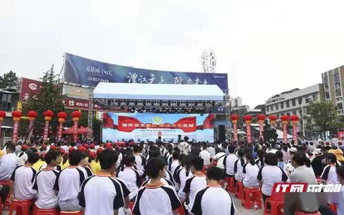 二、 构建高效运输链条的四个关键步骤