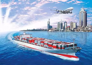 二、 货物接收与交付环节的责任