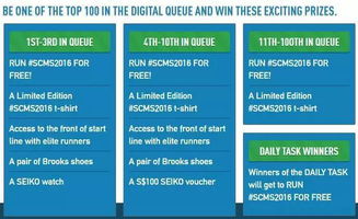 公司经营领域与规模