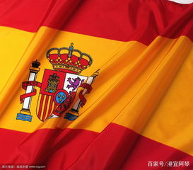 申请西班牙VAT的基本条件