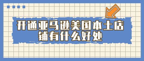 二、 注册亚马逊美国本土店铺的详细流程