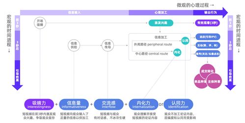 五、 视频号短视频带货的流程