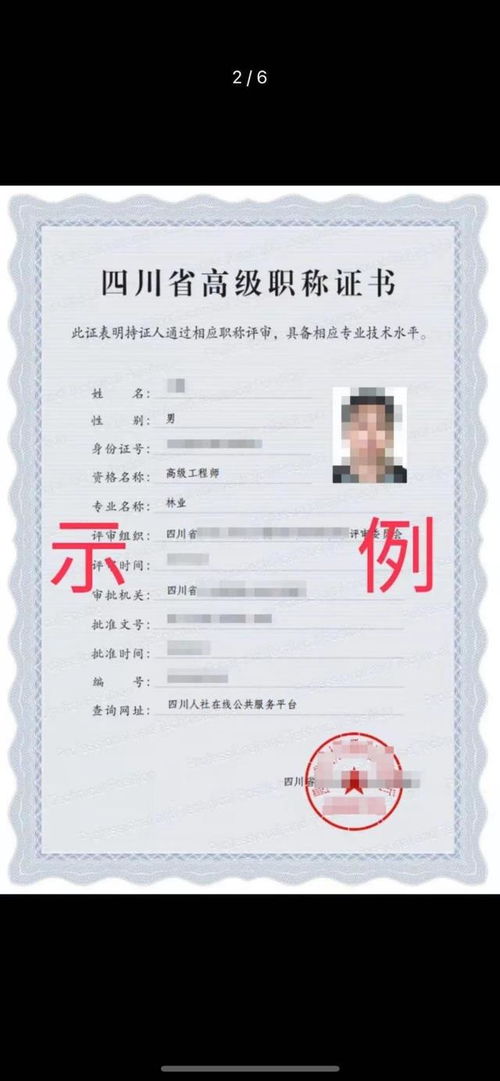 4. 注册号码