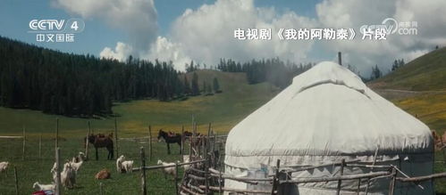 二、 飞猪平台助力阿勒泰旅游，搜索热度大增超5倍