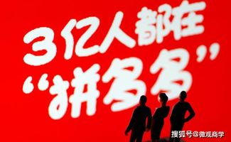 拼多多支付优惠策略分析 - 官方推广目的