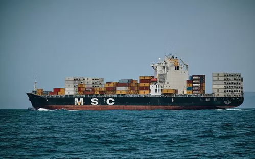 二、 地中海航运（MSC）